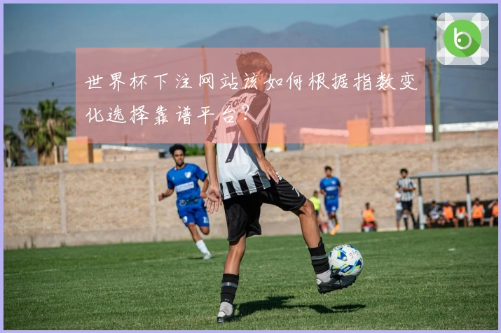 世界杯下注网站该如何根据指数变化选择靠谱平台？