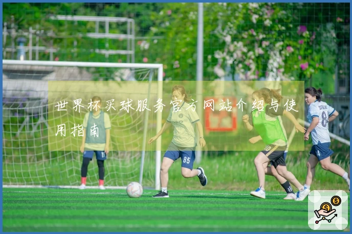 世界杯买球服务官方网站介绍与使用指南
