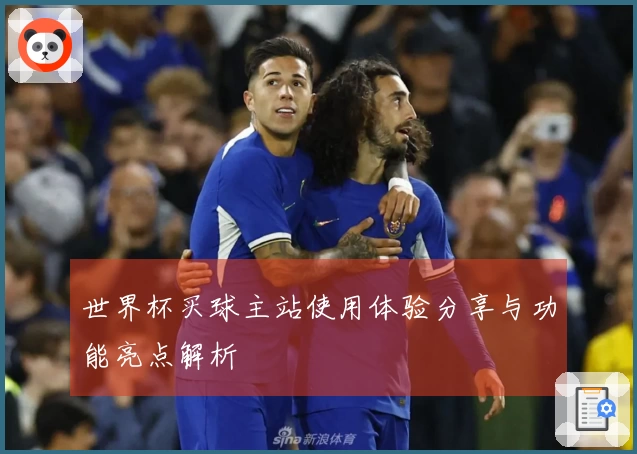 世界杯买球主站使用体验分享与功能亮点解析