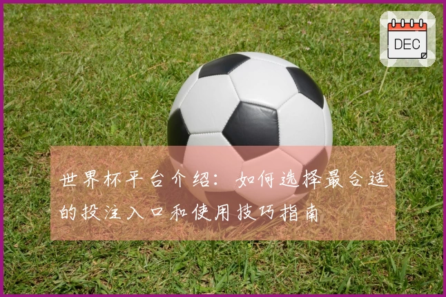 世界杯平台介绍：如何选择最合适的投注入口和使用技巧指南