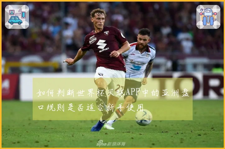 如何判断世界杯买球APP中的亚洲盘口规则是否适合新手使用