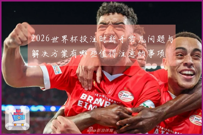 2026世界杯投注时新手常见问题与解决方案有哪些值得注意的事项