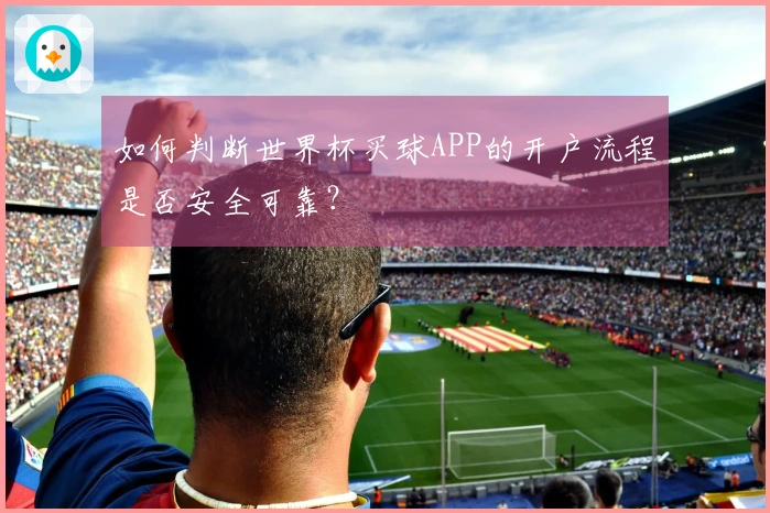 如何判断世界杯买球APP的开户流程是否安全可靠？