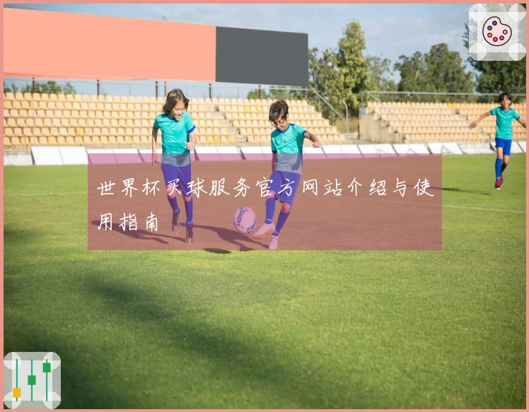 世界杯买球服务官方网站介绍与使用指南