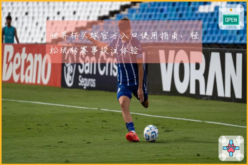世界杯买球官方入口使用指南，轻松玩转赛事投注体验