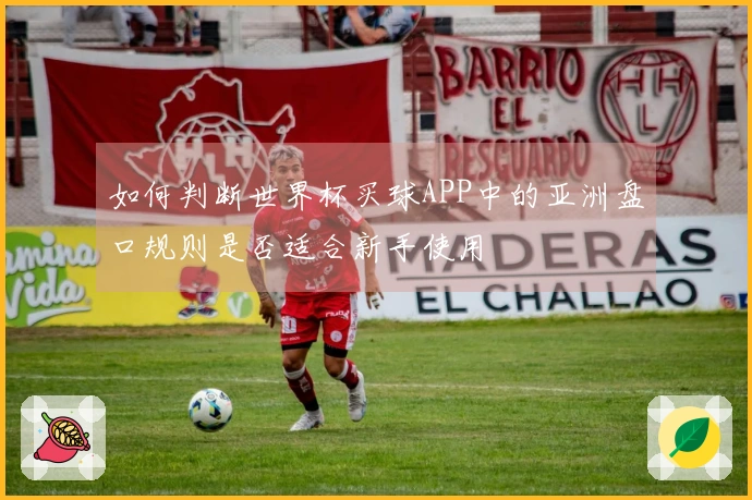 如何判断世界杯买球APP中的亚洲盘口规则是否适合新手使用