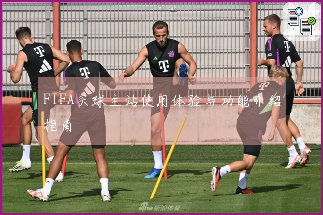 FIFA买球主站使用体验与功能介绍指南