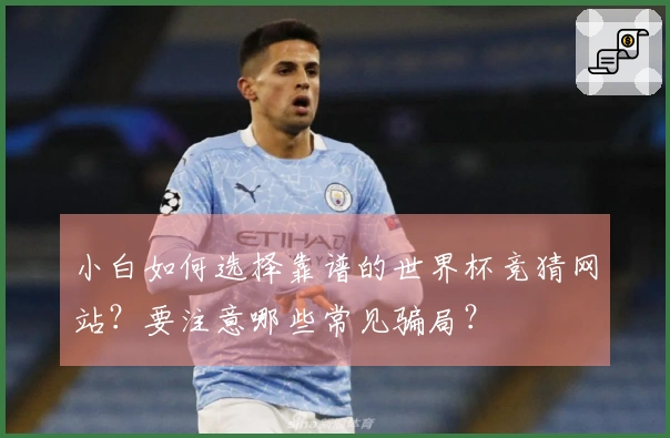 小白如何选择靠谱的世界杯竞猜网站？要注意哪些常见骗局？