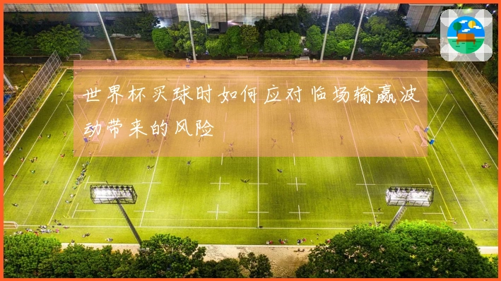 世界杯买球时如何应对临场输赢波动带来的风险