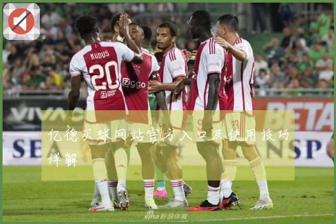 亿德买球网站官方入口及使用技巧详解