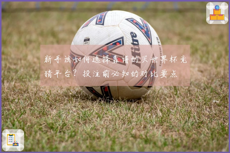 新手该如何选择靠谱的买世界杯竞猜平台？投注前必知的对比要点