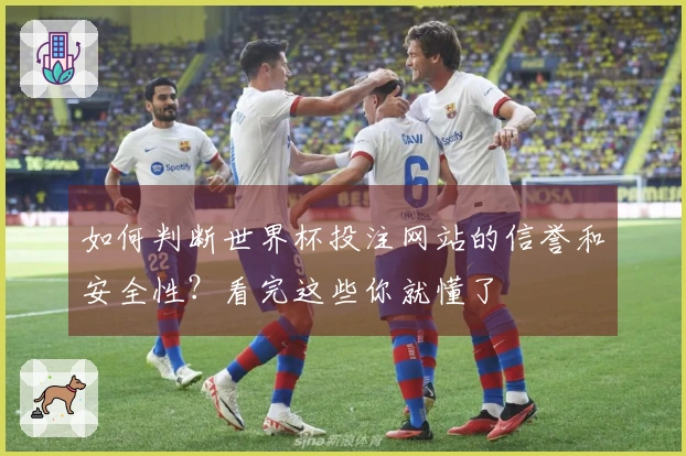 如何判断世界杯投注网站的信誉和安全性？看完这些你就懂了
