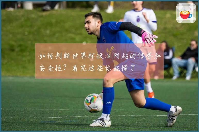 如何判断世界杯投注网站的信誉和安全性？看完这些你就懂了