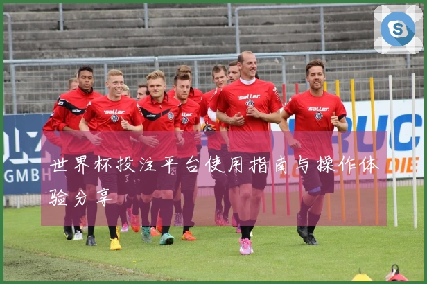 世界杯投注平台使用指南与操作体验分享