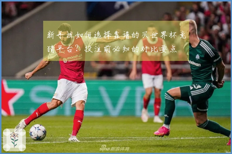 新手该如何选择靠谱的买世界杯竞猜平台？投注前必知的对比要点