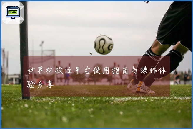世界杯投注平台使用指南与操作体验分享
