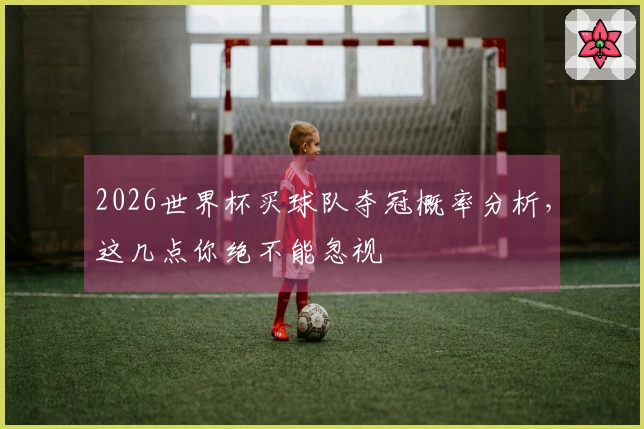 2026世界杯买球队夺冠概率分析，这几点你绝不能忽视