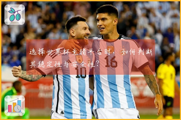 选择世界杯竞猜平台时，如何判断其稳定性与安全性？