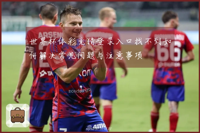 世界杯体彩竞猜登录入口找不到如何解决常见问题与注意事项