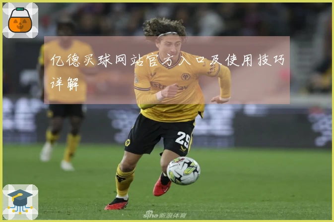 亿德买球网站官方入口及使用技巧详解