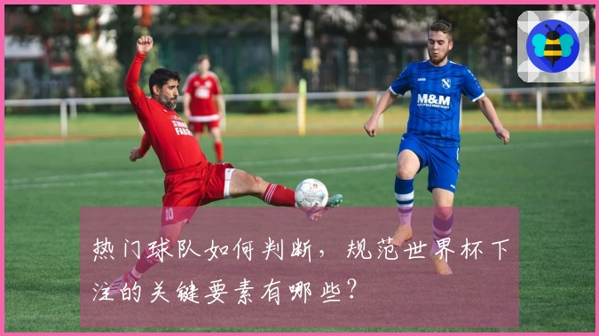 热门球队如何判断，规范世界杯下注的关键要素有哪些？