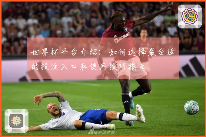 世界杯平台介绍：如何选择最合适的投注入口和使用技巧指南