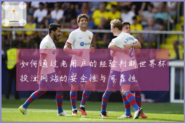 如何通过老用户的经验判断世界杯投注网站的安全性与可靠性