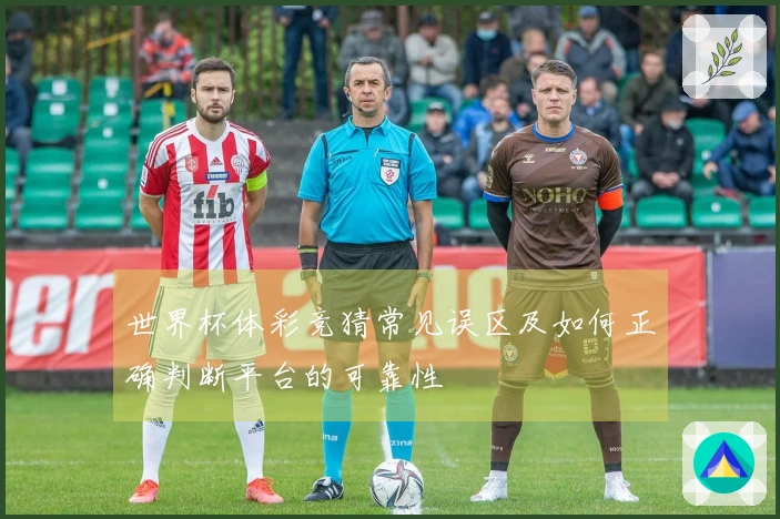 世界杯体彩竞猜常见误区及如何正确判断平台的可靠性