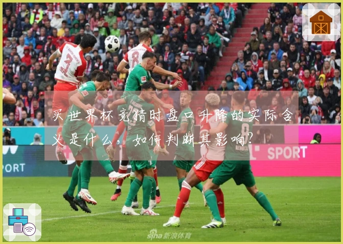 买世界杯竞猜时盘口升降的实际含义是什么，如何判断其影响？